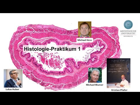 Histologie-Praktikum-1 Sommmersemester 2022, Medizinische Universität Innsbruck