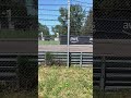 siamo arrivati! Imola Italia 🇮🇹