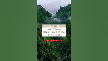 #القرآن_الكريم #سورة_الإخلاص #سورة_الفلق #سورة_الناس #عبدالرحمن_مسعد #quran #تلاوة_خاشعة #تلاوات