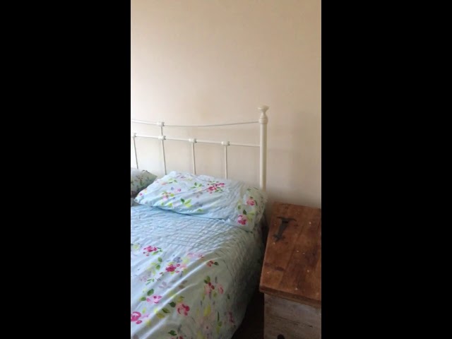 Video 1: