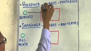 Biología 5 Fotosíntesis y Respiración Celular - Pedro Pedrozo
