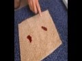 Scotchgard Carpet Protector