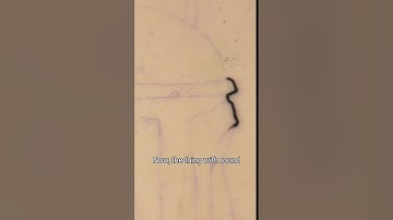 Lining With A Shader