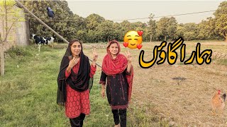 Pakistan traditional village routine || My beautiful village life|| by Ayesha vlogs