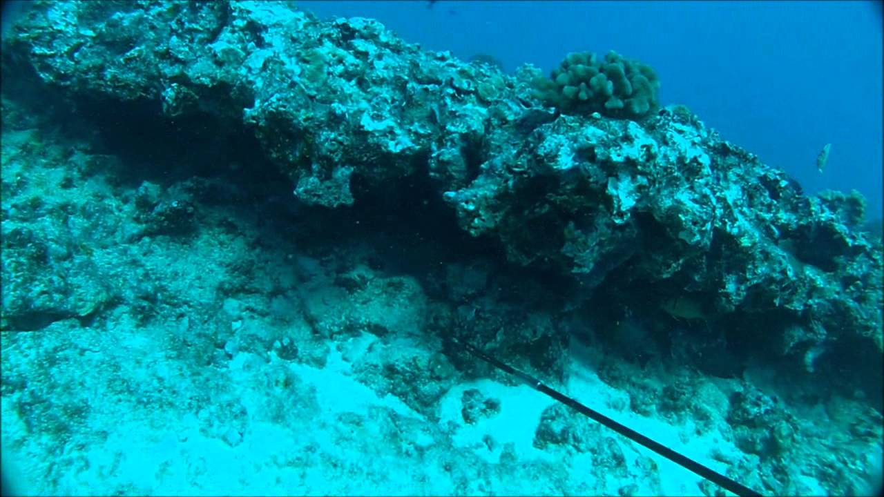 Spearfishing Hawaiian Style 1.0 (3 prongin)