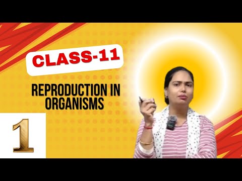 Reproduction Class 11 Class 11 Reproduction in Organisms PART-1 - YouTube