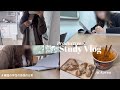 Korean Productive Study Vlog / Uni Vlog / 韓国学生 / 韓国学考 / 勉強 vlog / Autumm Uni 