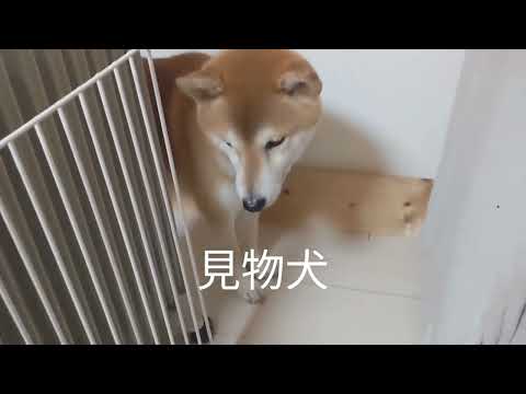 YouTube player