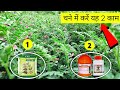 चना पर करे यह दो काम उत्पादन बनेगा | सल्फर का महत्व | fantac plus tonic | emamectin benzoate 5% SG