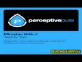 Miroslav vrlik  twenty two original mix perceptive pure