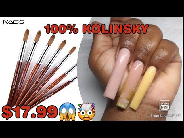 best acrylic brush and cheap｜TikTok Search