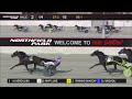 TROT OPEN HANDICAP - HERCULISA
