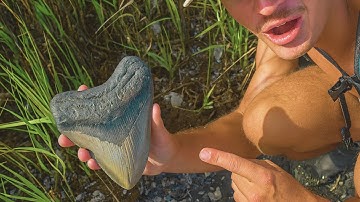 I searched an ancient ocean floor for BIG sharks teeth!