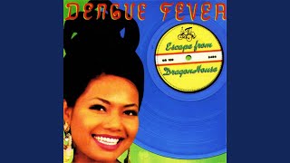 Video thumbnail of "Dengue Fever - Hummingbird"