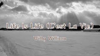 Willy William - Life Is Life (C'est La Vie) Resimi