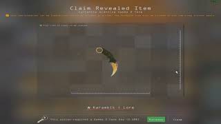 X Ray Scanner karambit screenshot 4