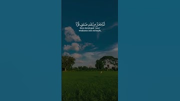 سعد الغامدي سورة الرم Saad Alghamidi Surat Al Room