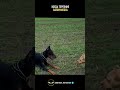 Когда терпение закончилось #саморазвитие