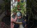 har har Mahadev | Mahadev painting on shivling | #art #shortfeed #shorts