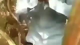 Mesum Ketangkap Warga Di Kebun Jagung Mesum Ketangkap Warga Di Kebun Jagung