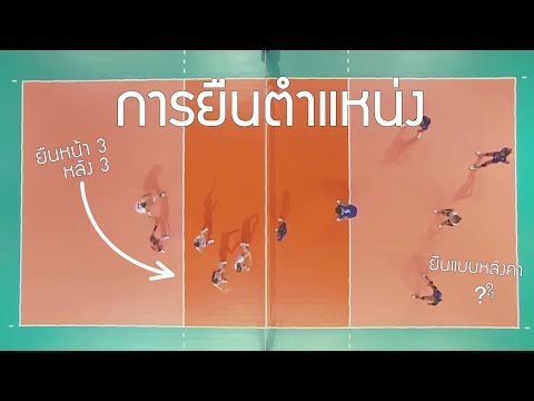 วีดีโอ: เซ็ตเตอร์ต้องสูงไหม?