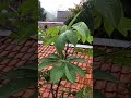 أم للانسان ما تمني فلله الاخرة والاولي استغفر الله اكسبلور الحصري أم للانسان ما تمني فلله الاخرة والاولي استغفر الله اكسبلور الحصري