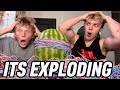 JOIN BEFORE IT EXPLODES.. 😱