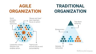 Agile Organization vs Traditional Organization | Dr. Indrawan Nugroho