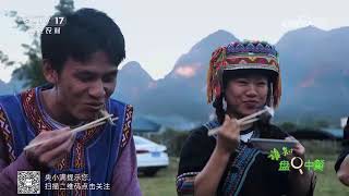 《谁知盘中餐》 20250327 山水知味 林下肉飘香 | 农业致富经 Agriculture And Farming