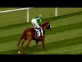Race 2 JAFZA