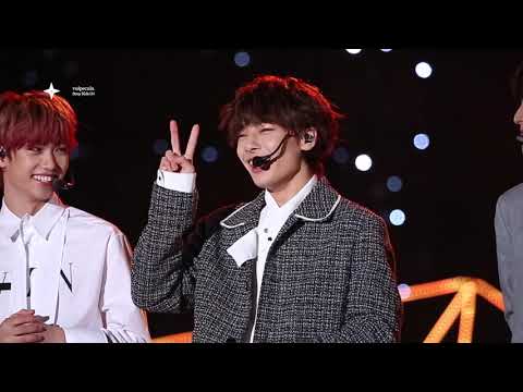 181026 정읍 열린음악회 ::귀요미 송:: (STRAY KIDS I.N)