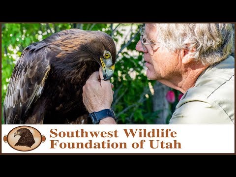 Martin Archives Southwest Wildlife Foundation