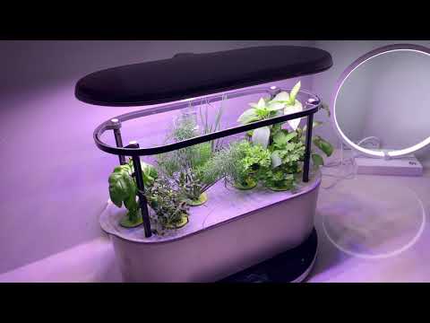 How Fast AeroGarden