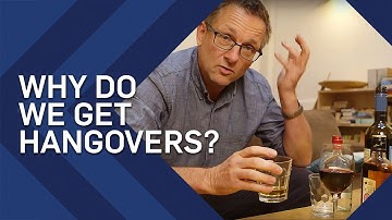 Why Do We Get Hangovers? | Earth Science