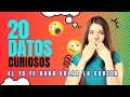 ¿Los PULPOS tienen TRES corazones? | DATOS curiosos que DEBES CONOCER