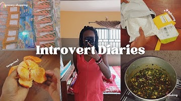 Introvert diaries🎀🌸 unboxing haul, productive days, grocery shopping, night care routine