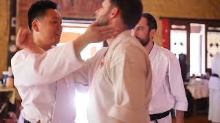 Polish Your Spirit: Explication of Underpinning Goju Ryu Karate Technique