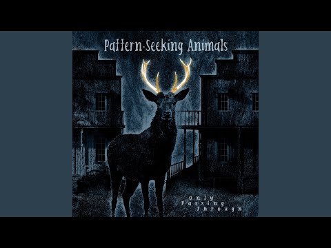 Pattern-Seeking Animals — Here with You with Me