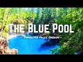 Hiking to the BLUE POOL / Tamolitch Falls, Oregon / WARNING: DIVING IN IS DANGEROUS! DO NOT ATTEMPT!