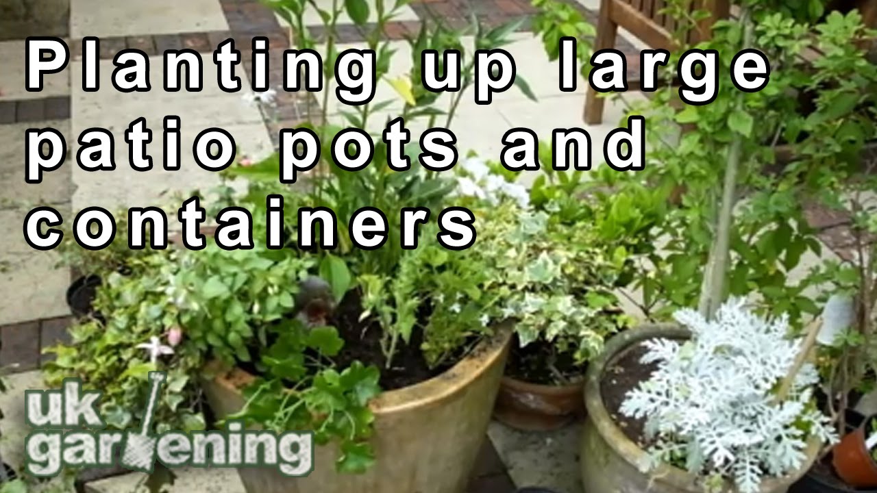 Planting Up Large Patio Pots For A Summer Display You Planting Up Large Patio Pots For A, How To Plant Large Patio Pots