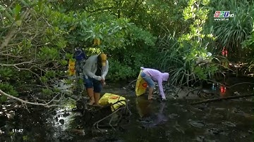 Huyện Côn Đảo thu gom và xử lý 320m3 rác thải đại dương | BRTgo