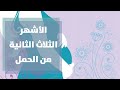 الفترة الثانيه من الحمل مع رولا القطامي