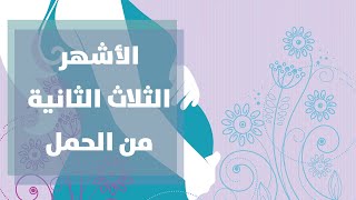 الفترة الثانيه من الحمل مع رولا القطامي