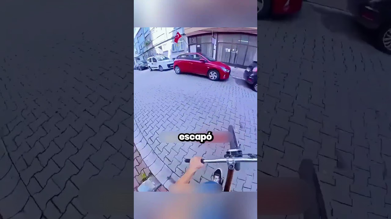 He Escaped With the Wrong Bike Frame 😂#viral #shorts #fyp