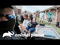 Intento de rescate tras un devastador huracán | Guardianes de Luisiana | Animal Planet