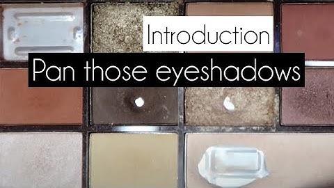Pan those eyeshadows/that palette 2022 | INTRO | anoukdominiquerose