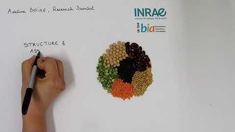 Sketching ongoing research : intrinsic disorder in plant proteins