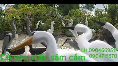 Cò, vạc, diệc, sâm cầm... hàng mới nóng hổi, đẹp như thật. Ship hàng toàn quốc. Zalo 0904715570