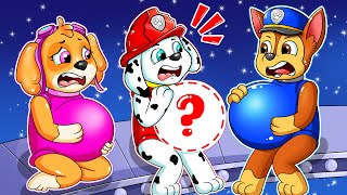 Brewing Cute Baby, But Marshall is not Pregnant?? - Paw Patrol Ultimate Rescue - Rainbow 3