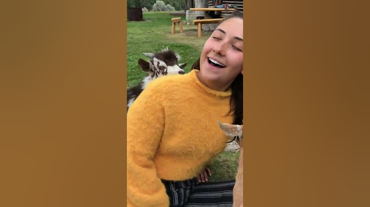 The Singing Goat #animals #babyanimals #pets #goat #animalshorts #funny